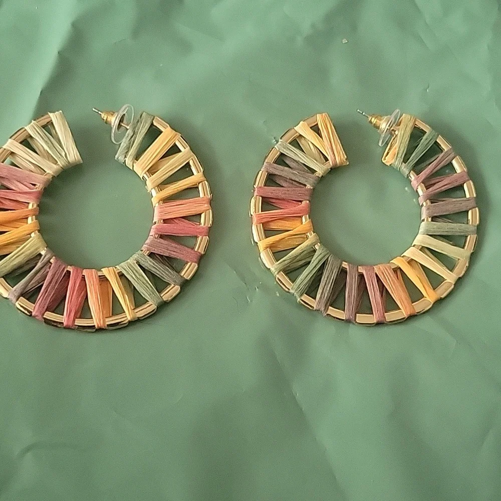 Multicolor Woven Hoop Earrings - Picture 2 of 6